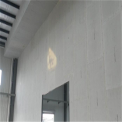 宝坻宁波ALC板|EPS加气板隔墙与混凝土整浇联接的实验研讨